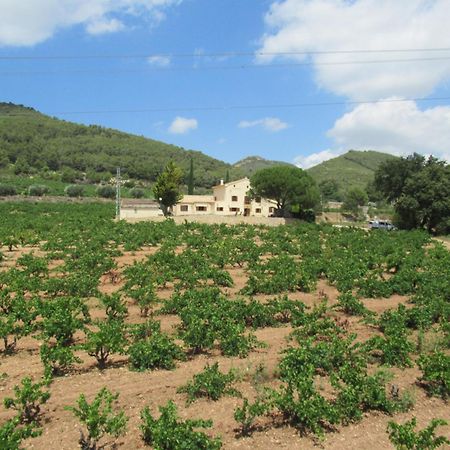 Casa Rural Cal Marti El Pla de Manlleu Exteriör bild