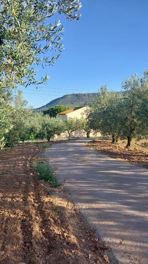 Casa Rural Cal Marti El Pla de Manlleu Exteriör bild