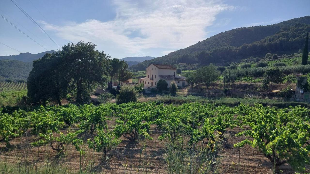 Casa Rural Cal Marti El Pla de Manlleu Exteriör bild