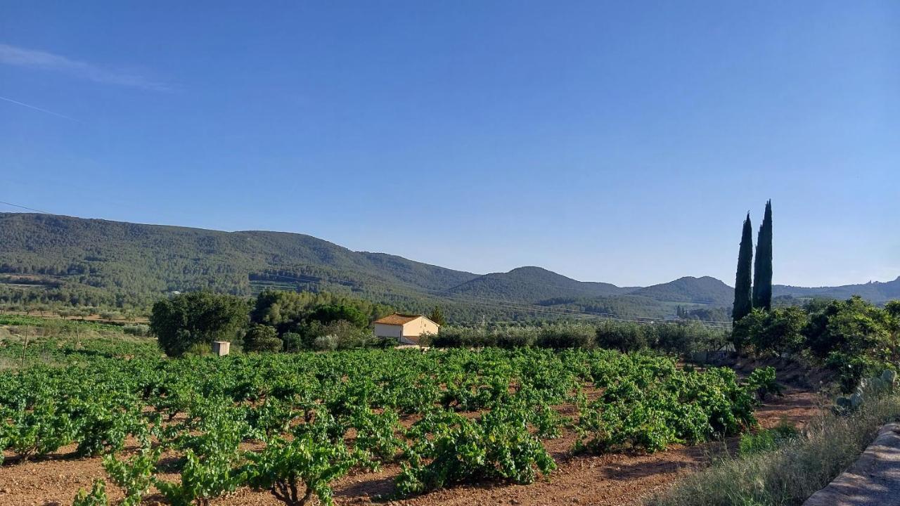 Casa Rural Cal Marti El Pla de Manlleu Exteriör bild
