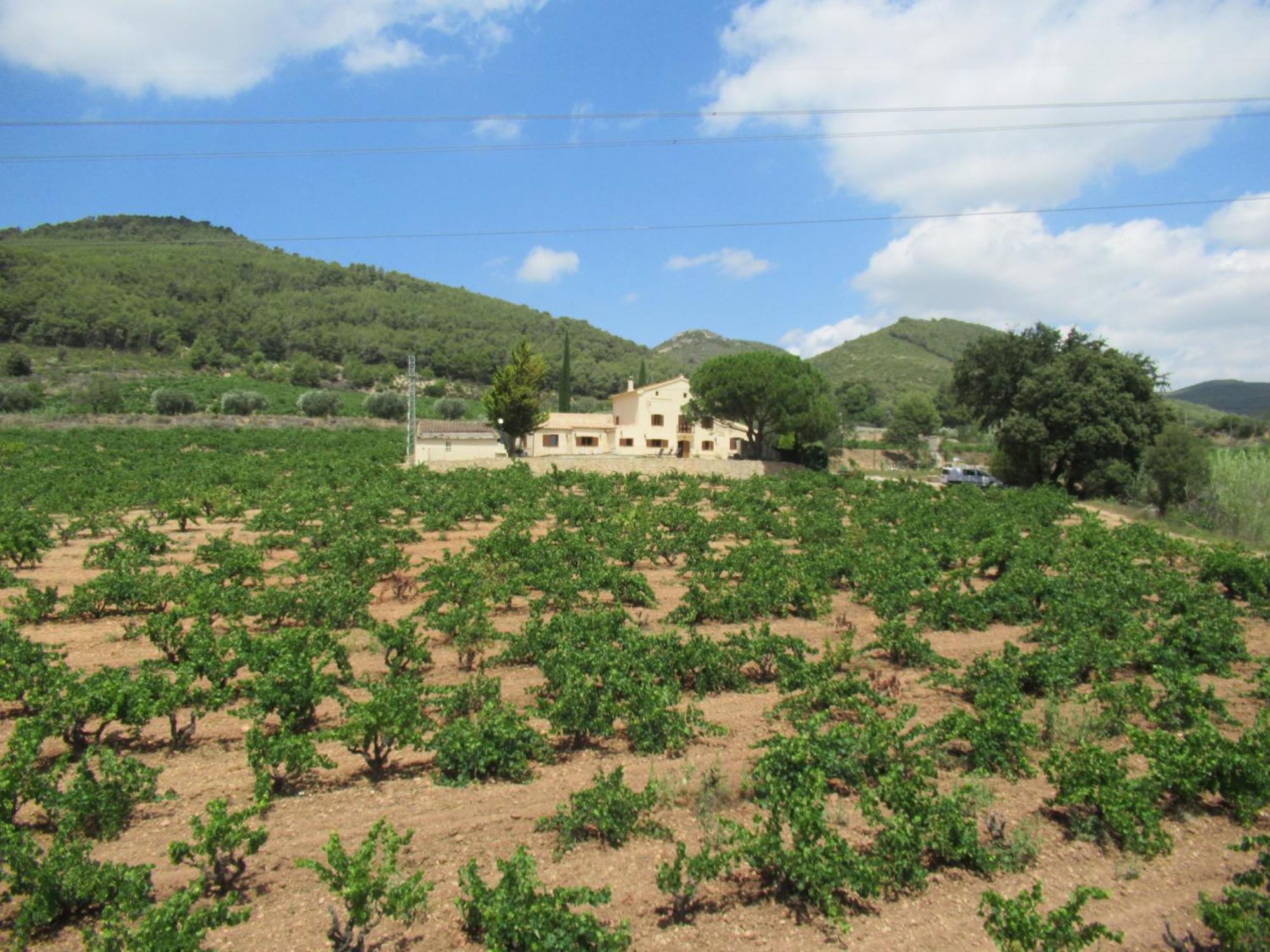 Casa Rural Cal Marti El Pla de Manlleu Exteriör bild